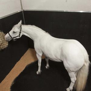 Rubber Horse Stable Wall Mats Straight Edge Cobblestone 3/4 Inch X 4 X 6 Ft