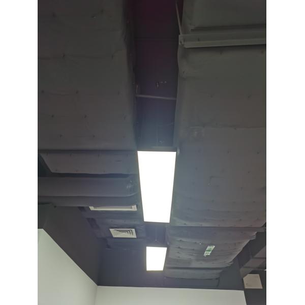 6500lm 1200mm X 300mm Led Panel Led Rectangular 120 X 30 Customized