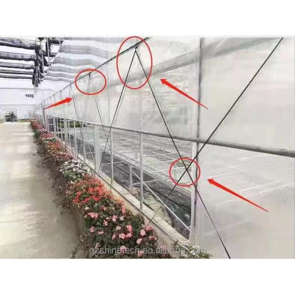 Greenhouse Film Band 200m 250m 300m Length For Agriculture Greenhouse