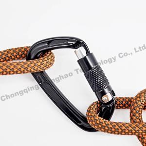 22KN D Shape Auto Lock High Strength Aluminium Alloy Climbing Safety Carabiner