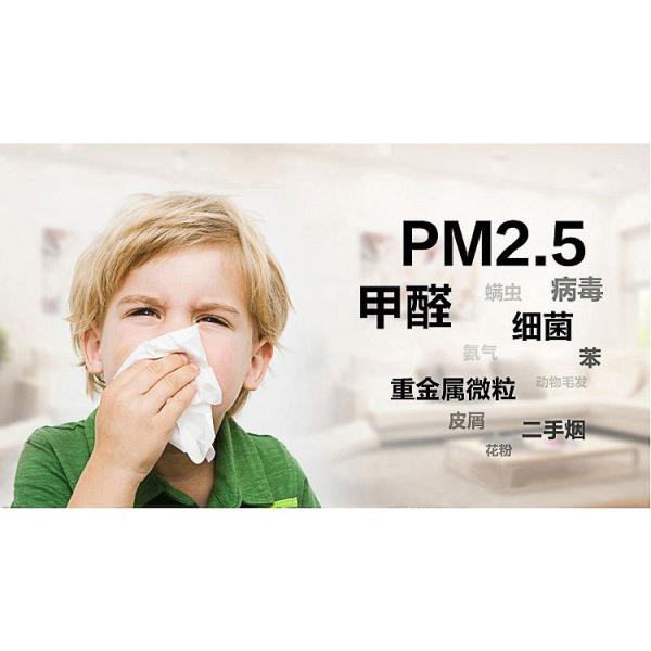 Air purifier，Air Purifier with HEPA filter home air purifier，Air Purifying