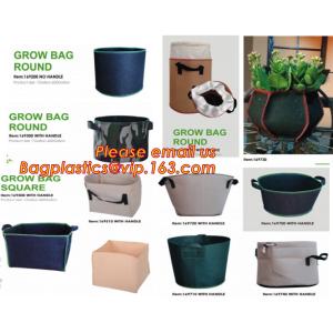 Norbane Bag 20 Counts Mushroom Substrate Bag, Mushroom Grow Bag, Mushroom Myco