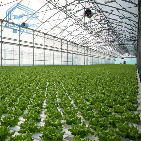 Buy Aquaponis Growing Poly Tunnel Plastic Greenhouse For Agriculture at wholesale prices