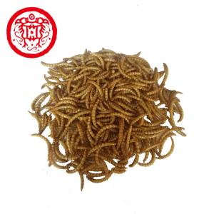 Quality Premium Quality Freeze Dried Worms with Mealworms Ingredients for sale