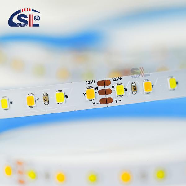 Customized CCT 12V24V 8mm 120leds 3000K-6500K Warm White-White SMD2835 Led Strip