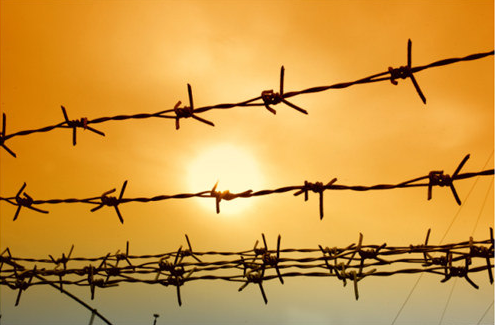 High Tension Double Twist 10 KG Galvanzied Bared Wire 14# Diameter