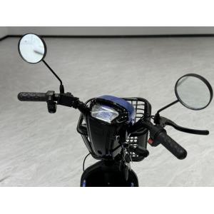 L1-B 350W Electric Two-Wheeler