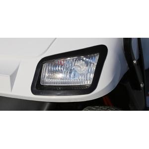 EV Lithium Cargo Golf Cart Utility Vehicle 120KM Custom