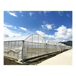 BAOLIDA 24x40m Single-Span Greenhouse With 150micron PE Film
