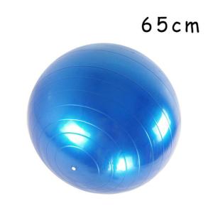 High Flexibility Pilates 65cm Stability Ball Heavy Duty For Gym