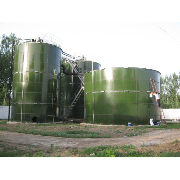 Buy Customized Anaerobic Digestion Tank with Low Maintenance Cost / Convenient Installation for Wastewater / Sludge Treatment at wholesale prices