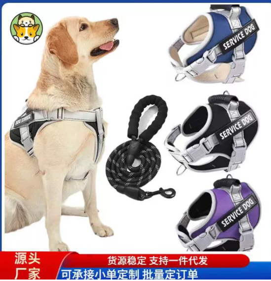 China Pet Exercise & Fitness Gear Category on sale