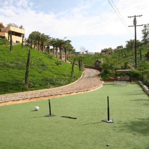 38mm Non Infill Low Maintenance Fake Artificial Turf Landscaping Astro Turf