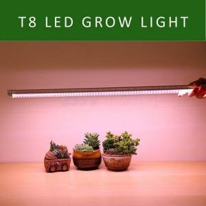 China T8 LED Plant Grow Lights on sale