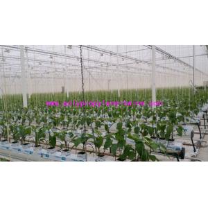 Professional Twisted Tomato Tying Modern Greenhouse Twine 1mm , Plastic Baling