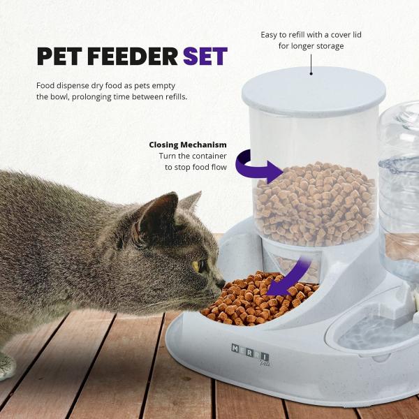 Dry Food Cat Gravity Feeder With Automatic Water Dispenser