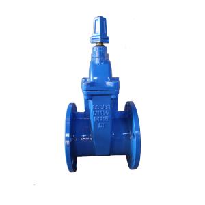 Quality 616-f BS resilent gate valve for sale