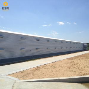 Galvanized Steel Structure Poultry House for 20 Chickens