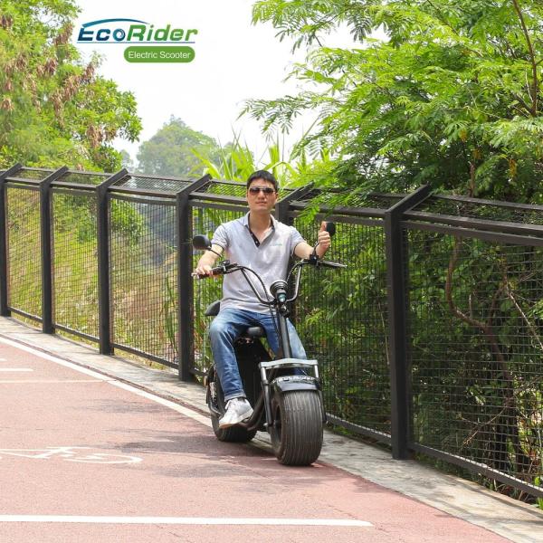 EcoRider 2018 1500 W 60v 12ah Lithium Battery 2 Wheel Electric Scooter , Electric Harley Scooter with double seats