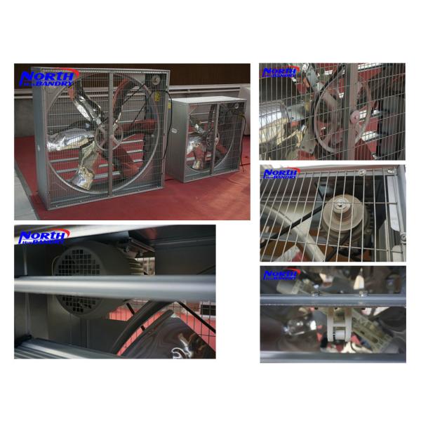 Buy swung drop hammer style industrial exhaust fan (Belt driven) at wholesale prices