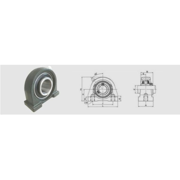 UCPA205 C0 Clearance Bearing Z4V4 UCPA Bearing