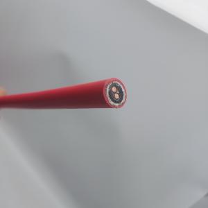 Instrumentation Cable 300/500V 2C2.5 CU/MGT/XLPE/OS/FR/LSZH/GSWA/LSZH 2x2.5