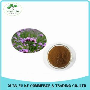 Competitive Price Natural Chinese Herb European Verbena Extract /Blue Vervain