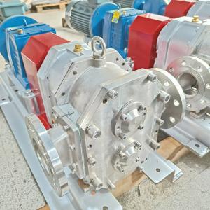Stainless Steel Positive Displacement Lobe Pump 0.8 Mpa Multipurpose