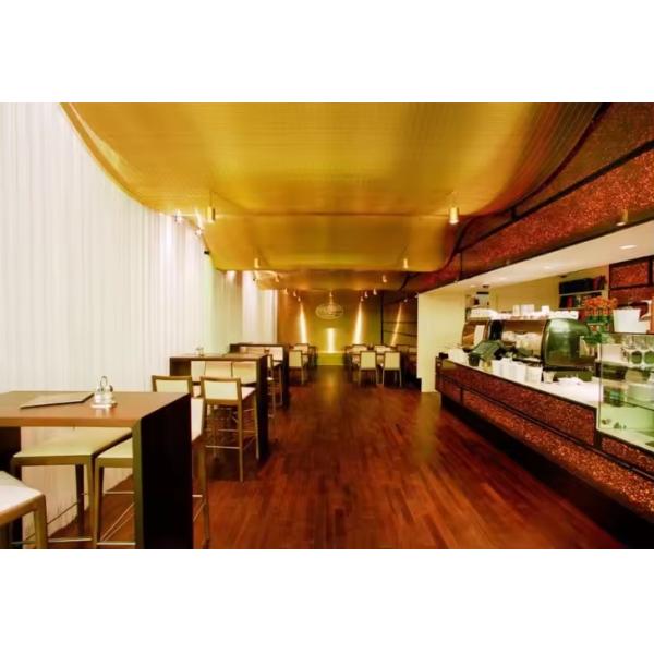 Customizable Decorative Metal Mesh for Unique Cabinet Door Designs Shelving Accents High-End Interior