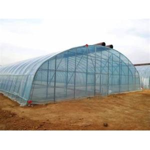 Double Layer Tomato Cucumber Peper Flowers Greenhouse with and Temporary Heating