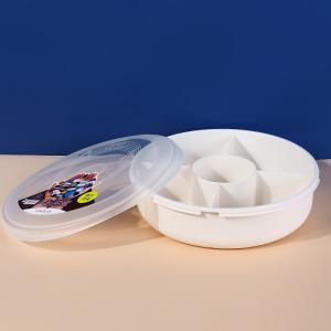 Large Capacity Sub Grid 32x8.3cm Plastic Organizer Box