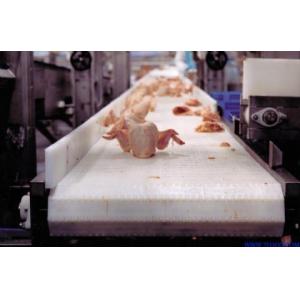 Stainless Steel Elevator Conveyor Belt Conveyor Price for Washing Vegetable and