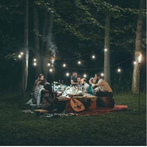 Home Decor E26 LED Twinkle Light Tree Lamp With Customized Size Input Voltage