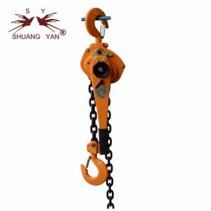 1 Ton Chain Block Lifting Equipment Running On Roller Bearings