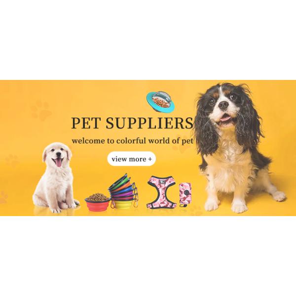 Teeth Cleaning Playing Training Ball for Dogs Natural TPR Foam Durable Indestructible Blue/Red/Pink