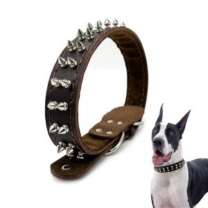 Genuine Leather Pet Collar with Studded Design Stylish Durable and Comfortable