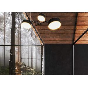 Modular Home Prefab Garden Studio With Light Steel Frame Tiny Cabins For Sale