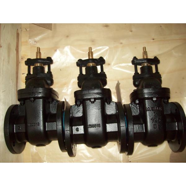 Buy (ANSI) Cast Iron Gate Valve at wholesale prices