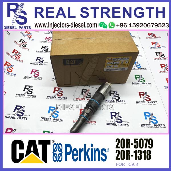 Common Rail Diesel Fuel Injector 456-3544 4563544 20R-5079 For Caterpillar C9.3 Engine 336E