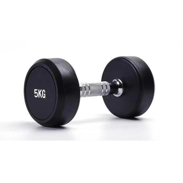 Befreeman Wholesale Hot Sale High Quality Gym Equipment Dumbbell Set