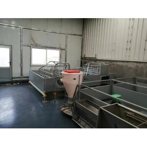 Pvc Panel Pig Farrowing Crate