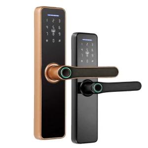 Intelligent Push Pull Door Lock Tuya WiFi Smart Keyless Entry Door Lock