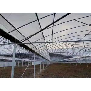 Simple Structure Plastic Film Greenhouse For Vegetables / Fruits Growing