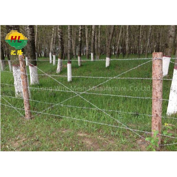 Buy Normal Twist Galvanized Barbed Wire 1.3*1.3mm 6kg at wholesale prices
