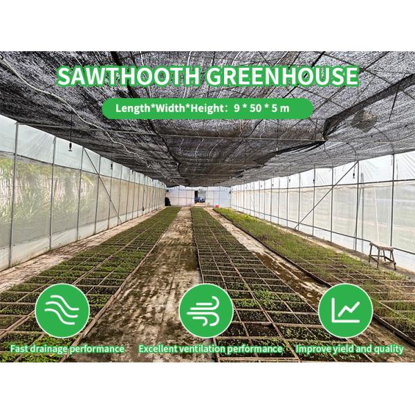 Baolida Sawtooth Greenhouse Cross Roof Agricultural Greenhouse Serre Agricole