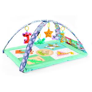 STEM Developmental Play Gym, Sensory Tummy Time Activity Play Mat, Ultra Plush &