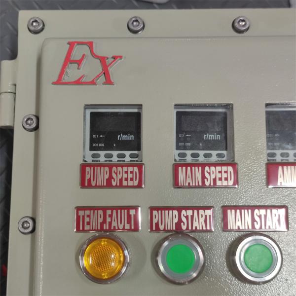 ATEX CNEX rated Ex d Flameproof Panel Box Enclosure IP66 WF2 for Hazardous area with Customized Cable Entry 295Vac