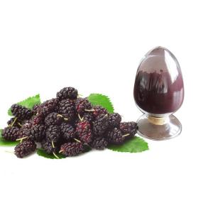 Fruit Mulberry Root Extract , Natural Herbal Extract Anthocyanidins 5% - 25%