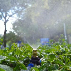 Atomization Water Misting Brass Nozzle Connectors Low Pressure Watering