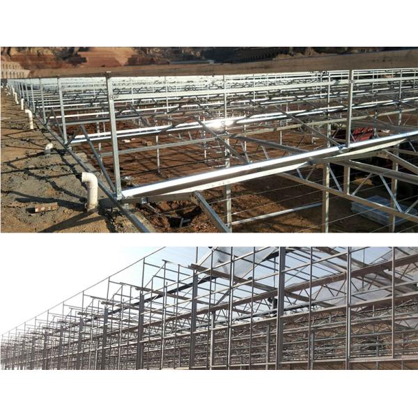 Good Light Permeability Essential for Venlo Glass Greenhouse in Agricultural Industry